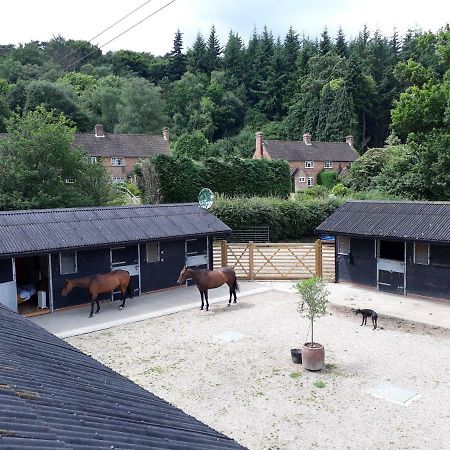 Crockers Farm Villa Dorking Exterior foto
